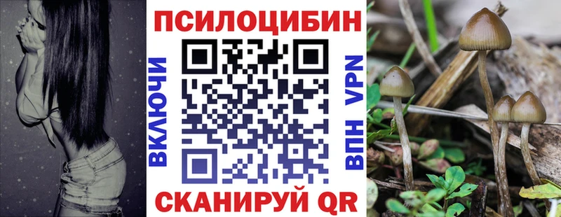 Купить  Нурлат  Галлюциногенные грибы мицелий 